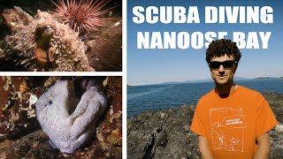 Scuba Diver's Paradise (4K) | Nanoose Bay, BC Canada