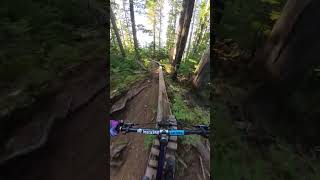 Whistler's Longest Skinny!  #whistlerbikepark  #bike #endurobike