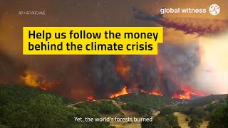 Global Witness: Help us follow the money behind the climate crisis