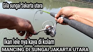 mancing di sungai jakarta Utara ‼️ikan lele nya kaya di kolam