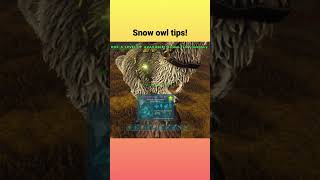 Snow owl heal tips! #snowowl #glitch #ark #youtubeshorts #gamer #guide