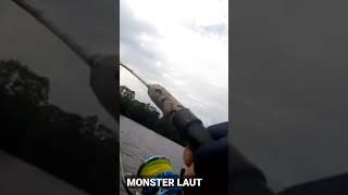 Wowww😱...MONSTER LAUT