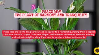 Enhance Romance and Harmony With These 5 Plants #youtubevideos #indoorplants  #plants