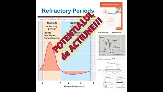 ADMITEREA la MEDICINA! CELULA: Potentialul de membrana. POTENTIALUL DE ACTIUNE! manualul Corint.