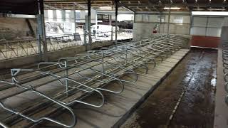 6 Bay Cubicle Shed With A Step