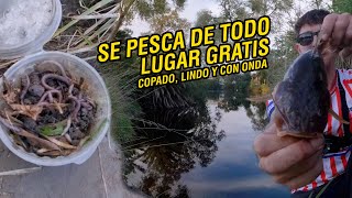 EN ESTE ARROYO MAGICO SE PESCA DE TODO / PESCA VARIADA DE BAGRES, CHATAS, DIENTUDOS, MOJARRAS, CARPA