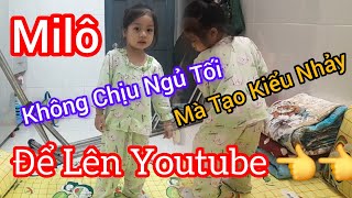 Khuya Rồi Milô Ko Chịu Ngủ, Bắt 3 Quay Video Để Lên Youtube 4/10/2024 Hồ Thanh Thái