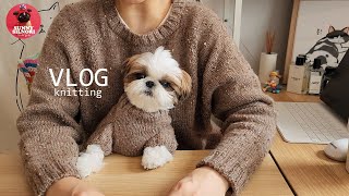 [뜨개하며독서 vlog-20]미쳐쪄어 미친거죠 미친겁미돠아ㅣFO - Woodwardia by Lydia Gluckㅣ WIPㅣ뜨개로그ㅣ knittingㅣ1인1견가구 ㅣ 일상