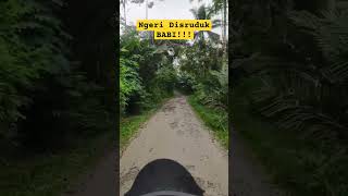 NGERI Diseruduk BABI !!! #perjalanan #views #motovlog #fypシ #viral