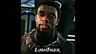 Black Panther Extreme Edit HDR | Attitude Status| #shorts #marvel #status #blackpanther