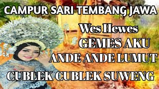 CAMPUR SARI Tembang Jawa Cocok Buat Santai !!!