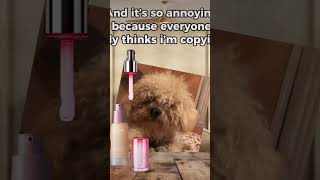 #pov if my dog was a Sephora kid #capcuttemplate #doggodoingthings