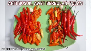 CARA MENYIMPAN CABAI AGAR AWET TAHAN LAMA & TETAP FRESH DI KULKAS || TIPS CABE TIDAK MUDAH BUSUK