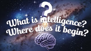 What Is Intelligence? Where Does it Begin?  🌞