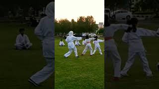 Beautiful Karate Kata