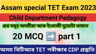 Assam Special TET 2023/ CDP Important Questions/ video 1/ #BTR_TET