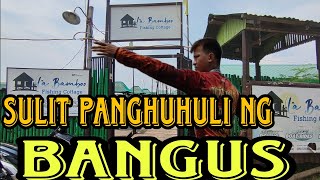 150 per Kilo Ng Huling BANGUS #viral #food #fishing #fish #soweirdfamily #fishinglife #adventure