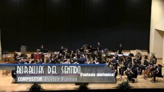 concierto santa ana 2016