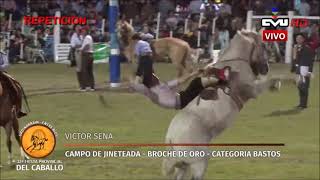 VICTOR SENA - BROCHE DE ORO FIESTA DEL CABALLO URDINARRAIN