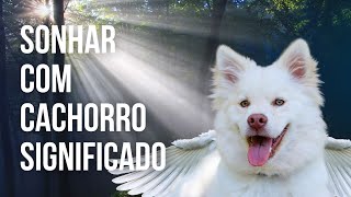 O QUE SIGNIFICA SONHAR COM CACHORRO NO MUNDO ESPIRITUAL