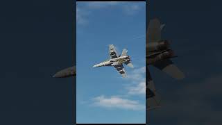 F18 FLIES BY!! #f18 #dcs #shorts #milsim #airshow