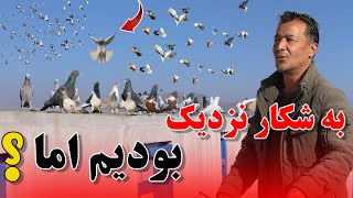 کفتربازی جالب ودیدنی تقدیم به شوقی های دور از وطن //089Afghan Shawqi