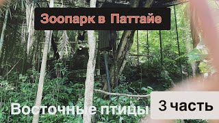 Зоопарк в Паттае | дорога до восточных птиц | 3 часть