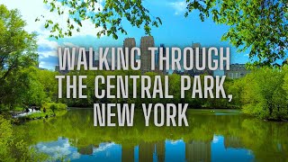 Exploring Hidden Paths of Central Park in Spring (ASMR Walk), New York