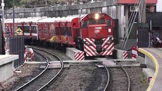 San Isidro: habilitan el andén de la estación de Boulogne y festejan los comerciantes