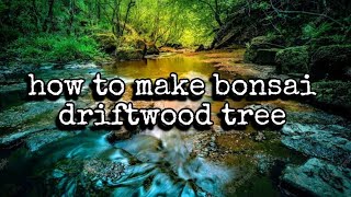 HOW TO MAKE BONSAI DRIFTWOOD TREE