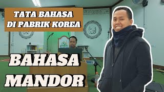 BAHASA KOREA SEHARI HARI DI PABRIK KOREA YANG SERING DI PAKAI MANDOR ‼️‼️