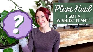 I Got A Wishlist Houseplant! | Summer Houseplant Haul 2022 + Houseplant Care Tips