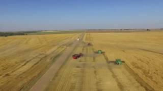 Froese Brothers Harvesting. Wheat Harvest 2016