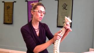 San Francisco Chiropractor Explains How A Chiropractic Adjustment Can Help With Back Pain