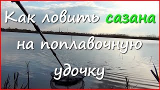 Рыбалка на карася и сазана в апреле. Краснодарский Край.