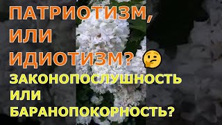 #ПАТРИОТИЗМ, ИЛИ #ИДИОТИЗМ? 🤔 #ЗАКОНОПОСЛУШНОСТЬ ИЛИ БАРАНОПОКОРНОСТЬ?