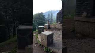 Monkeys at Nathia Gali, Pakistan