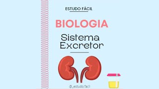 Biologia  - Aula sobre a FISIOLOGIA DO CORPO HUMANO: SISTEMA EXCRETOR