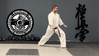 KYOKUSHIN KARATE PINAN SONO YON