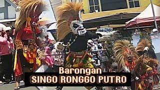 Aksi Barongan SINGO RONGGO PUTRO Sambong