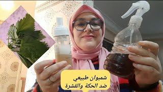 شمبوان الاعشاب بالرغوة بعشبة خطيرة ضد الحكة والقشرة