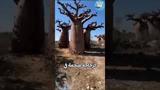 أضخم خزان مياه طبيعي في إفريقيا 🌳💧| حقائق حقائق | غريب | مثير