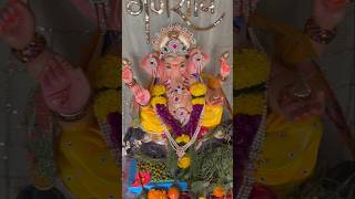 Ganesha2024 #ganesh #decoration #viral #devashreeganesha #ganpati #ashortaday #home #trending