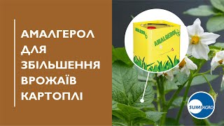 АМАЛГЕРОЛ – Унікальний біопрепарат для якісного врожаю