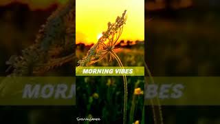 Morning Vibes || Morning WhatsApp Status || Nature Status || #Shorts ||