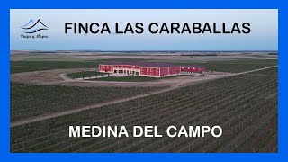 FINCA LAS CARABALLAS. ➡️  Medina del Campo