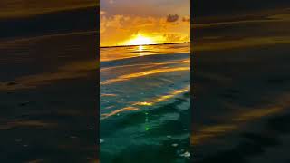 Golden Hour in the Keys #shorts #sunset