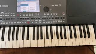 Korg PA 600