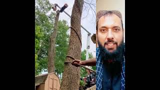 Wow Amazing Tree Trick || Must Watch These Reels