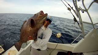 Pesca de grandes meros negros aguajies black groupers con carrete convencional